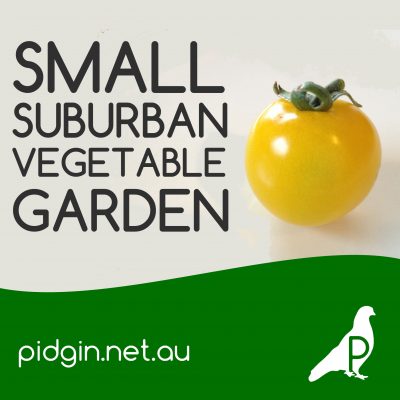 Small Suburban Vegetable Garden