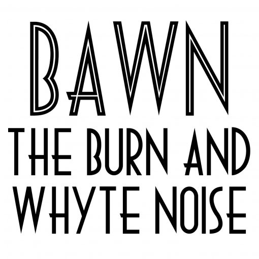 The Burn And Whyte Noise