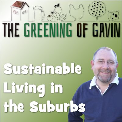 The Greening Of Gavin