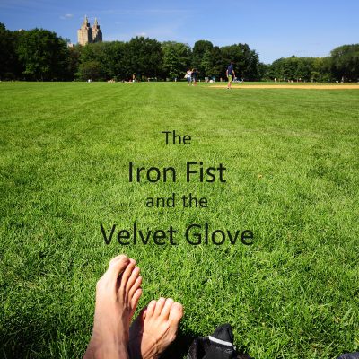 The Iron Fist And The Velvet Glove