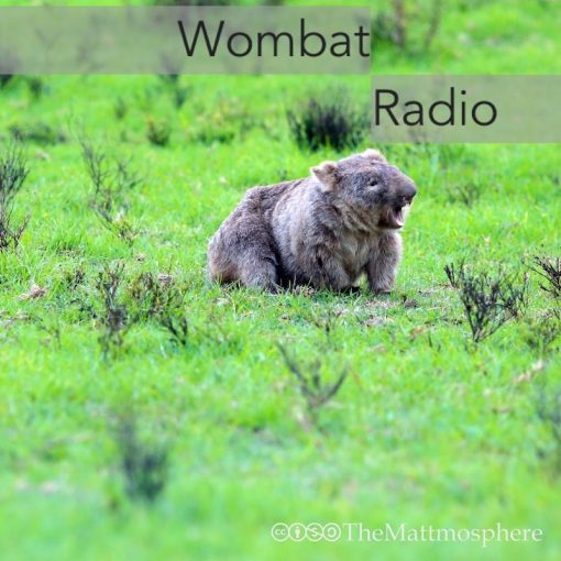 Wombat Radio